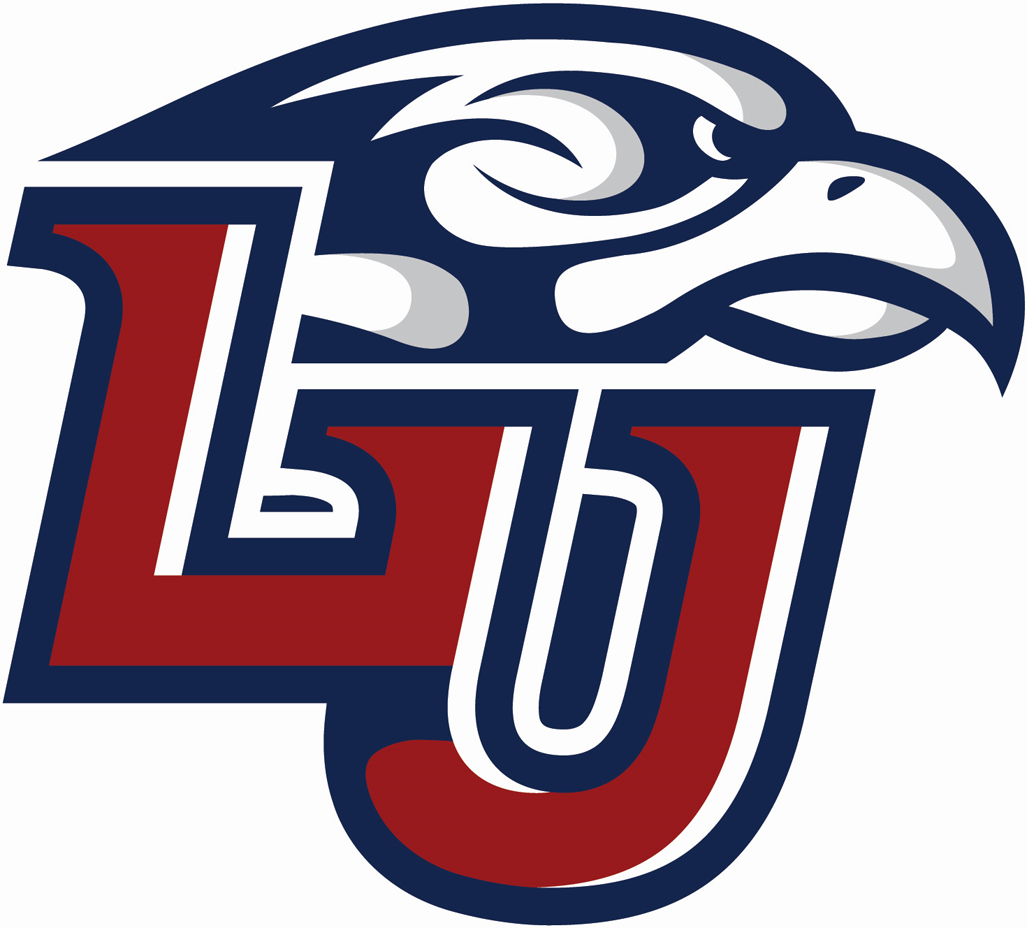 Liberty Flames decals